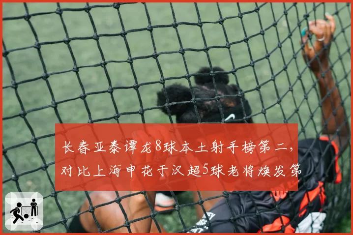 长春亚泰谭龙8球本土射手榜第二，对比上海申花于汉超5球老将焕发第二春