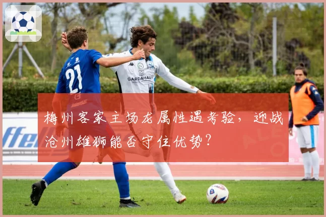 梅州客家主场龙属性遇考验，迎战沧州雄狮能否守住优势？