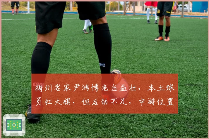 梅州客家尹鸿博老当益壮，本土球员扛大旗，但后劲不足，中游位置稳固？