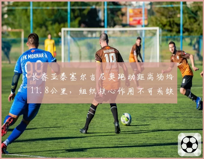 长春亚泰塞尔吉尼奥跑动距离场均11.8公里，组织核心作用不可或缺