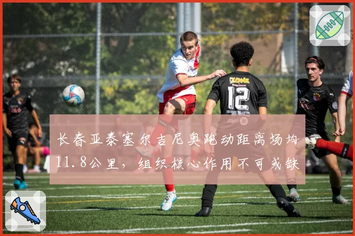 长春亚泰塞尔吉尼奥跑动距离场均11.8公里，组织核心作用不可或缺