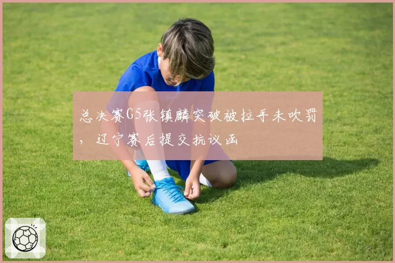 总决赛G5张镇麟突破被拉手未吹罚，辽宁赛后提交抗议函