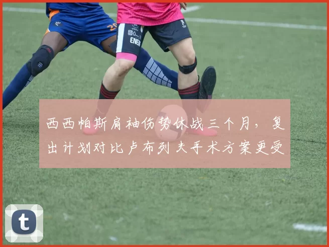 西西帕斯肩袖伤势休战三个月，复出计划对比卢布列夫手术方案更受质疑